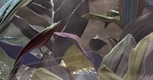 Looking outside my window at what I planted two years ago