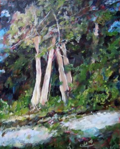 Birch Trees on the Path 2016 Acrylic 20X16                    